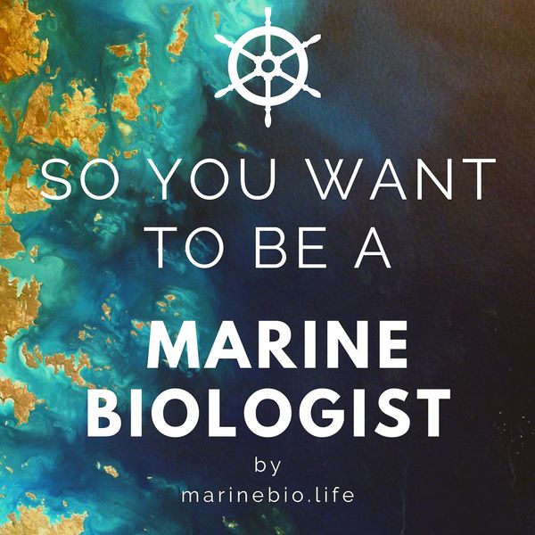 Want to be a Marine Biologist Career