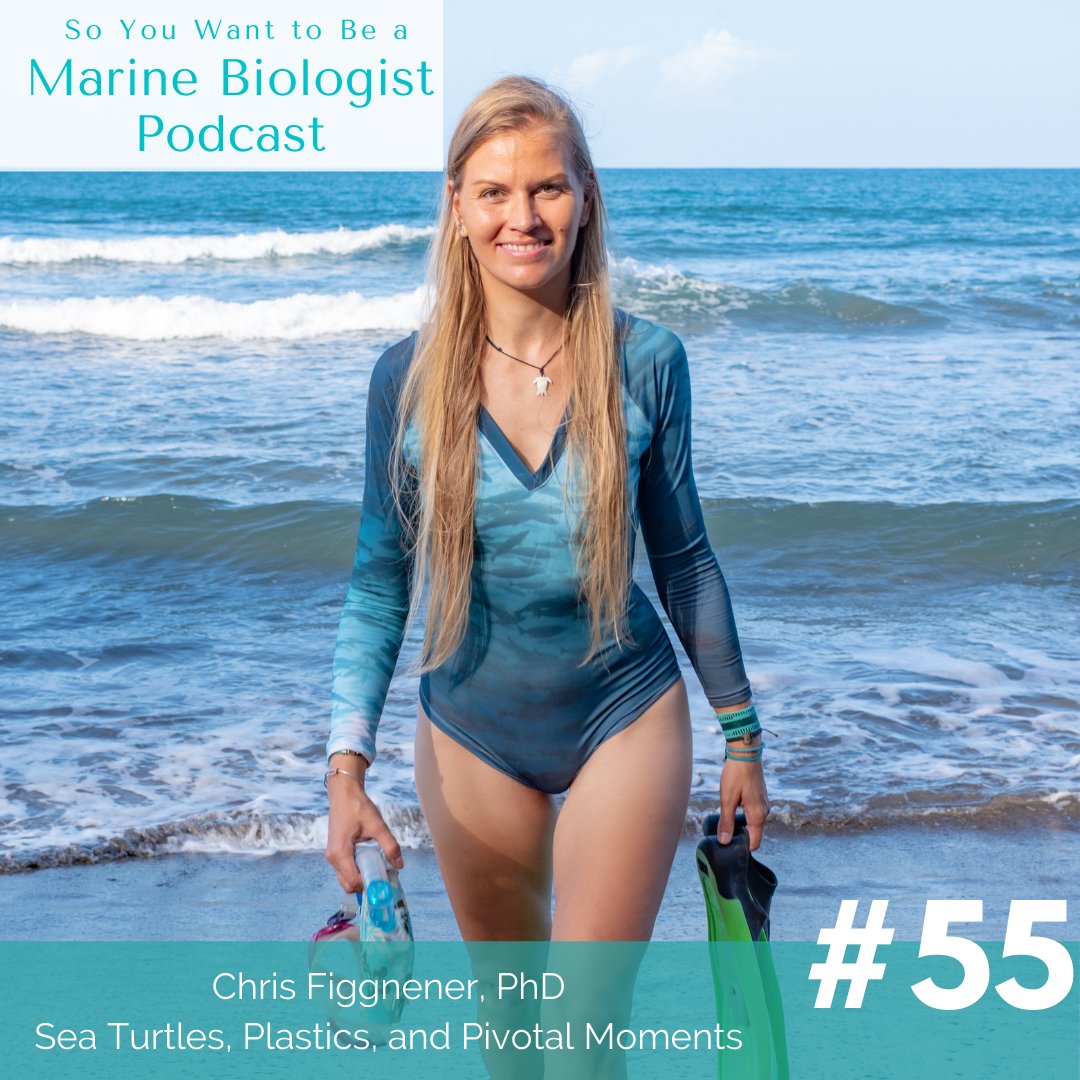 Fundraiser by Chris Figgener : Sea Turtle Research & Conservation